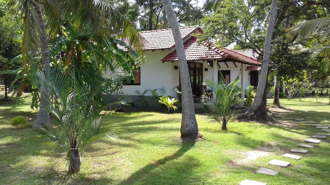 טנגלה Chillenjoy Cabanas & Restaurant מראה חיצוני תמונה