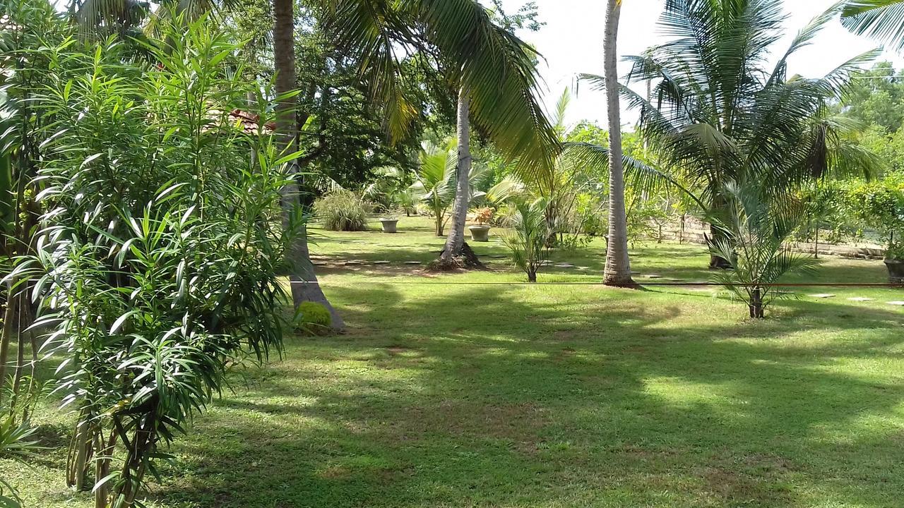 טנגלה Chillenjoy Cabanas & Restaurant מראה חיצוני תמונה